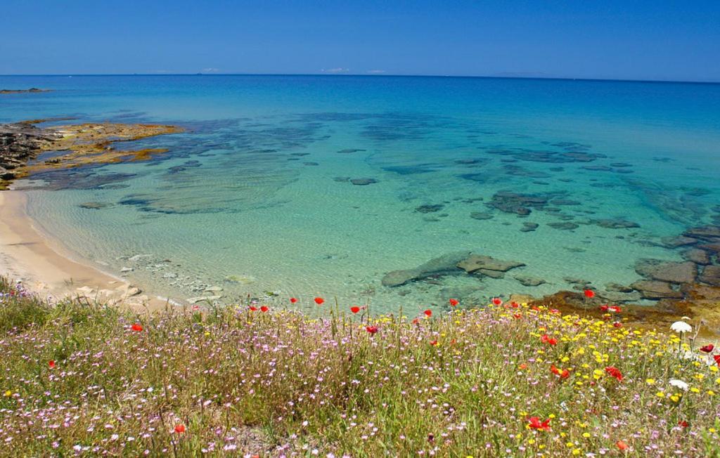 Appartamento Per Vacanza Castelsardo Exteriör bild